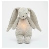 Moonie the humming bunny - grey nature